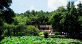 長(zhǎng)沙出發(fā)到花明樓、韶山、張家界國(guó)家森林公園、天門仙山國(guó)家森林公園四日游